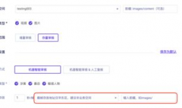 视频审核,守护网络清朗空间的守护者